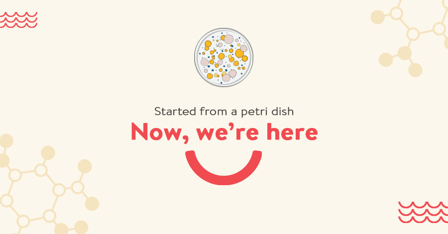 Decoding Prebiotics And Probiotics