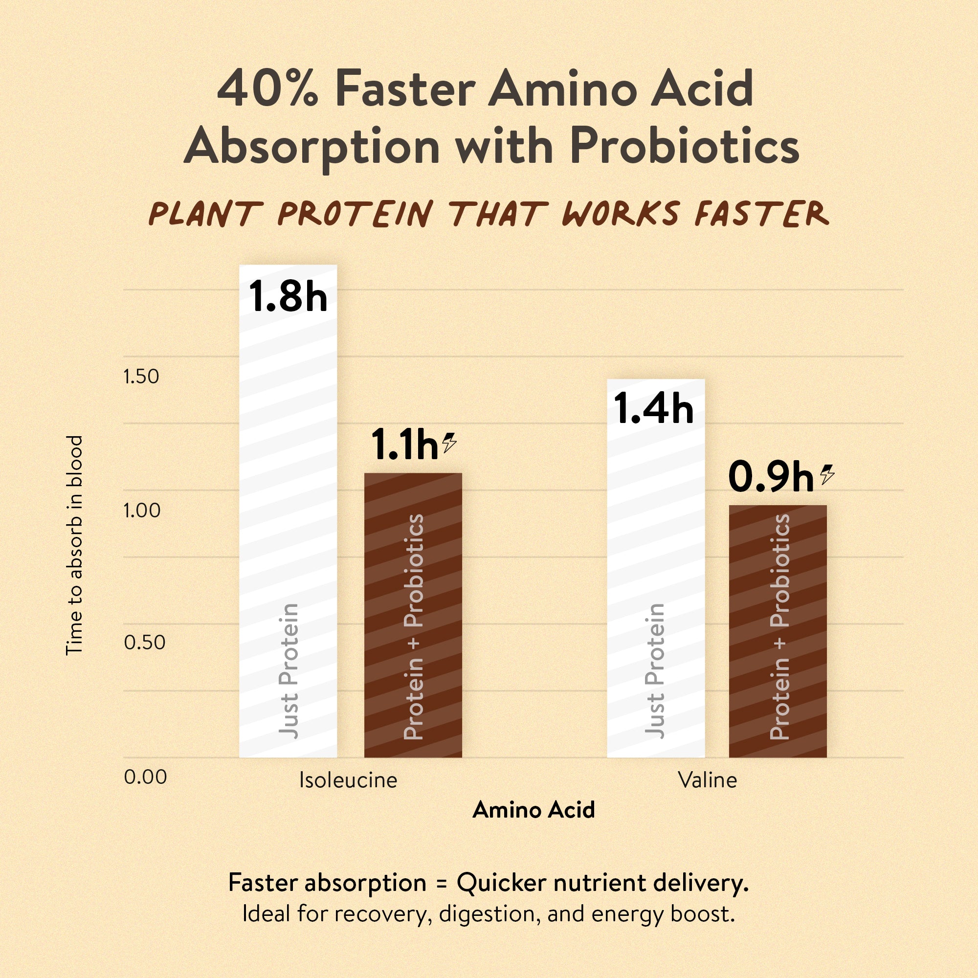 The Tastiest Plant Protein Everrr | Real Ghana Cocoa | 26g Protein Per Scoop - Chocolate 505g