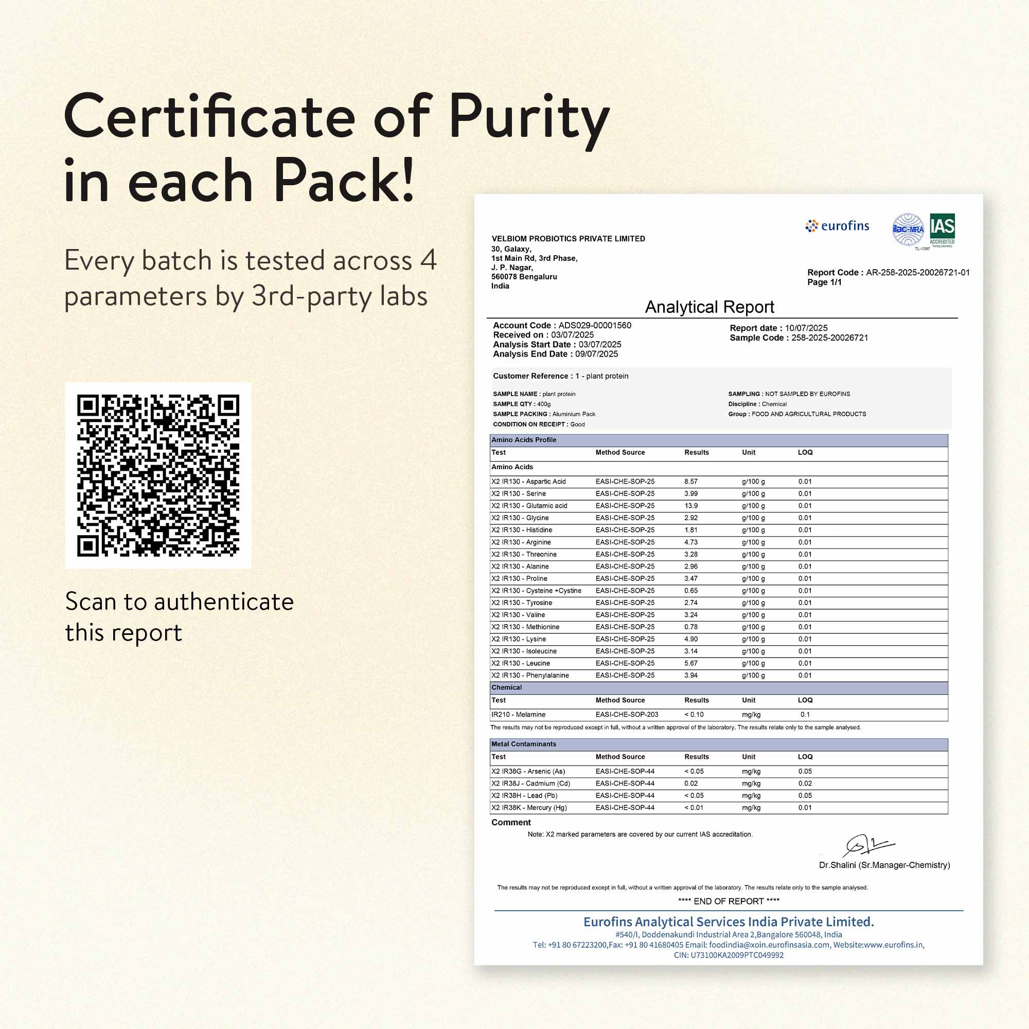 The Tastiest Plant Protein Everrr | Ratnagiri Alphonso Mango | 24g Protein Per Scoop 505g - Mango