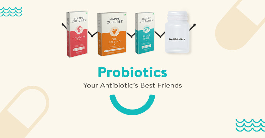Probiotic protection for antibiotic action