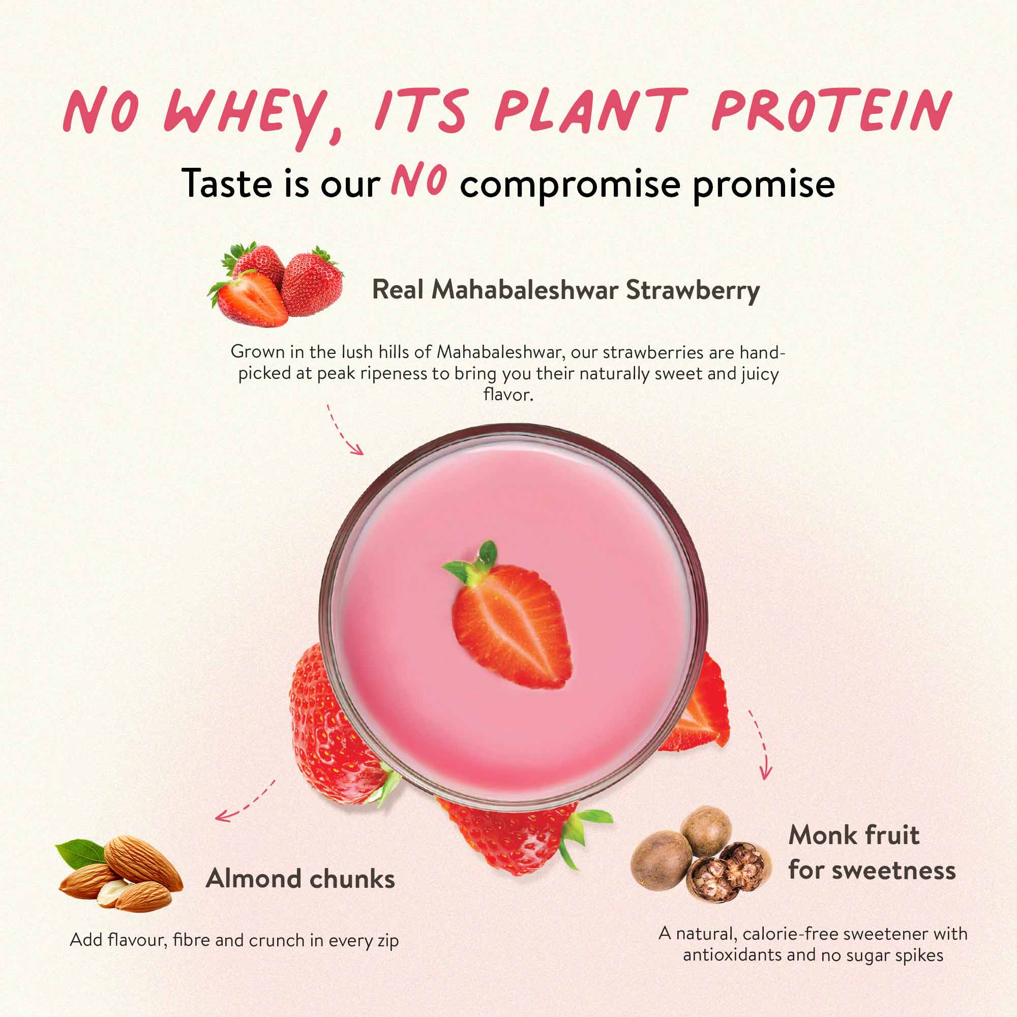 The Tastiest Plant Protein Everrr | Mahabaleshwar Strawberry | 24g Protein Per Scoop 505g - Strawberry