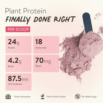 The Tastiest Plant Protein Everrr | Mahabaleshwar Strawberry | 24g Protein Per Scoop 505g - Strawberry