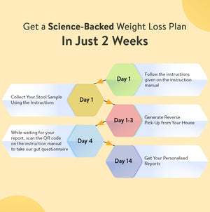 Get Lean Gut Microbiome Test for Weight Loss & Metabolic Health