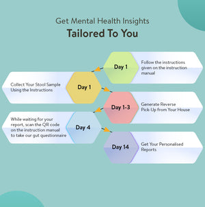 DeStress Gut Microbiome Test for Mental Wellness & Emotional Resilience